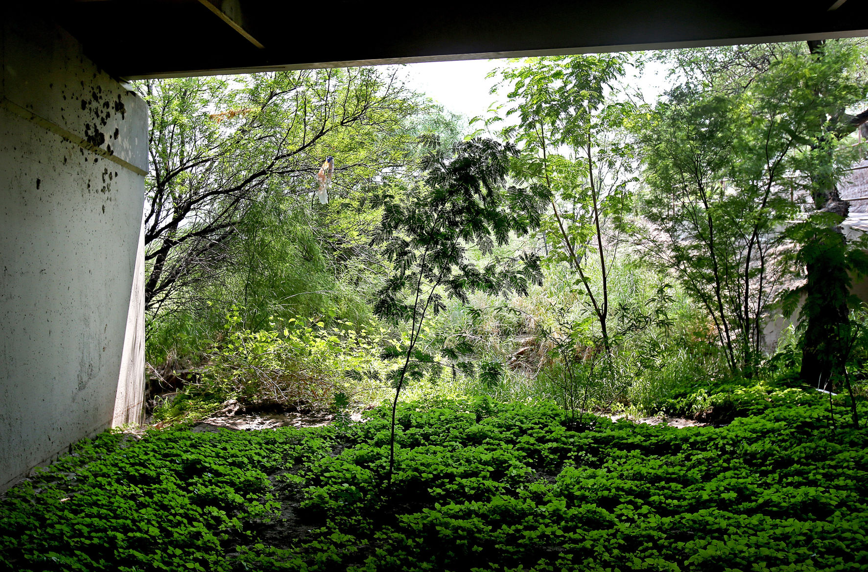Santa Cruz River